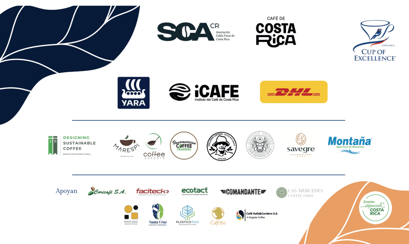 patrocinadores taza